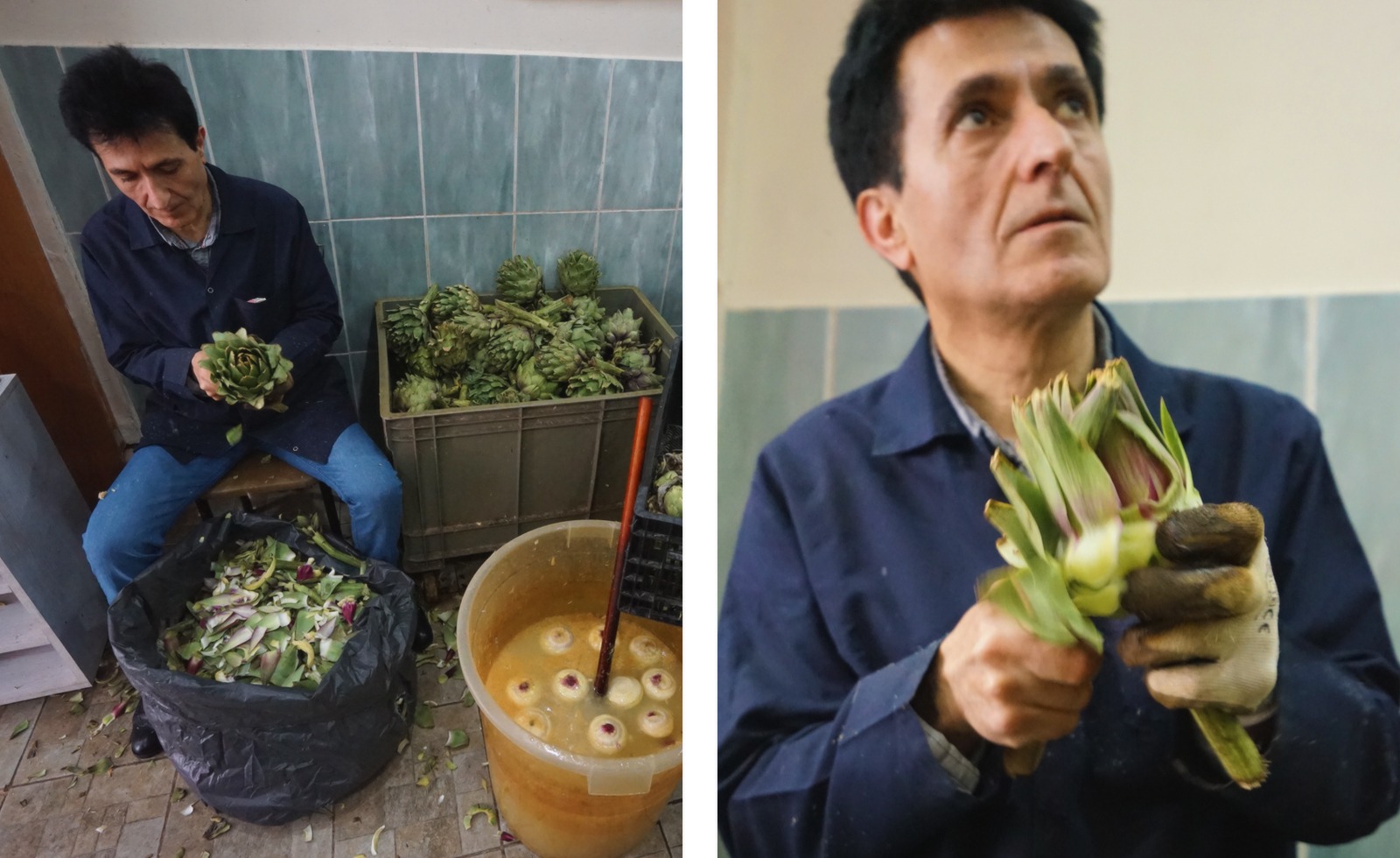_main artichoke