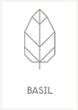 Basil