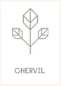 Chervil