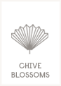 Chive Blossoms