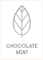 Chocolate Mint