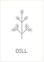 Dill