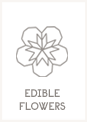Edible Flowers