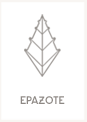 Epazote