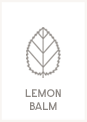 Lemon Balm