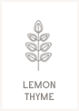 Lemon Thyme