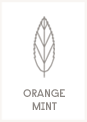 Orange Mint