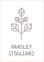 Parsley