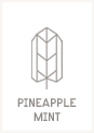 Pineapple Mint