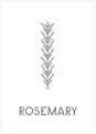 Rosemary