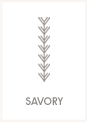 Savory