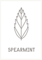 Spearmint