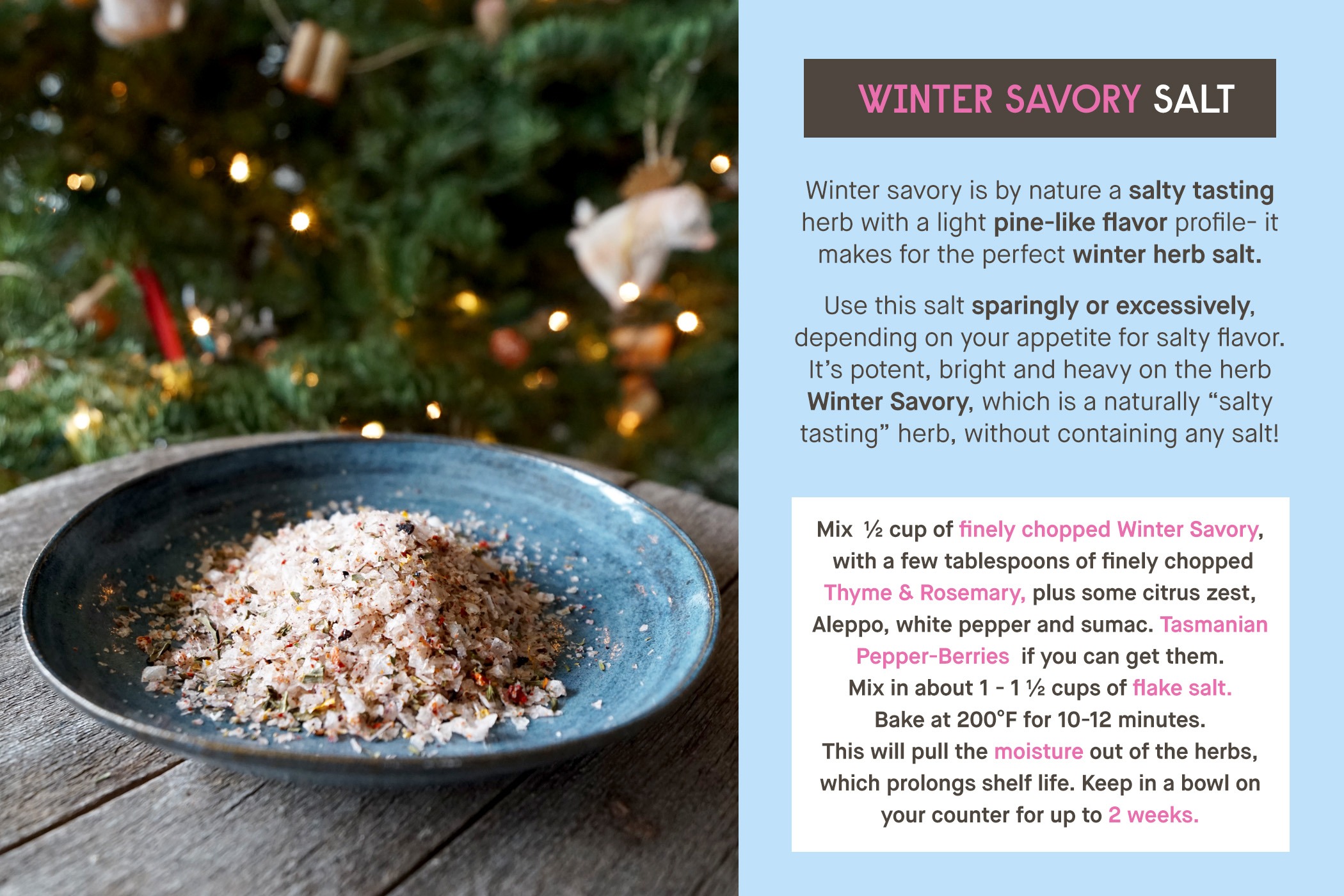 Winter Savory SaLT