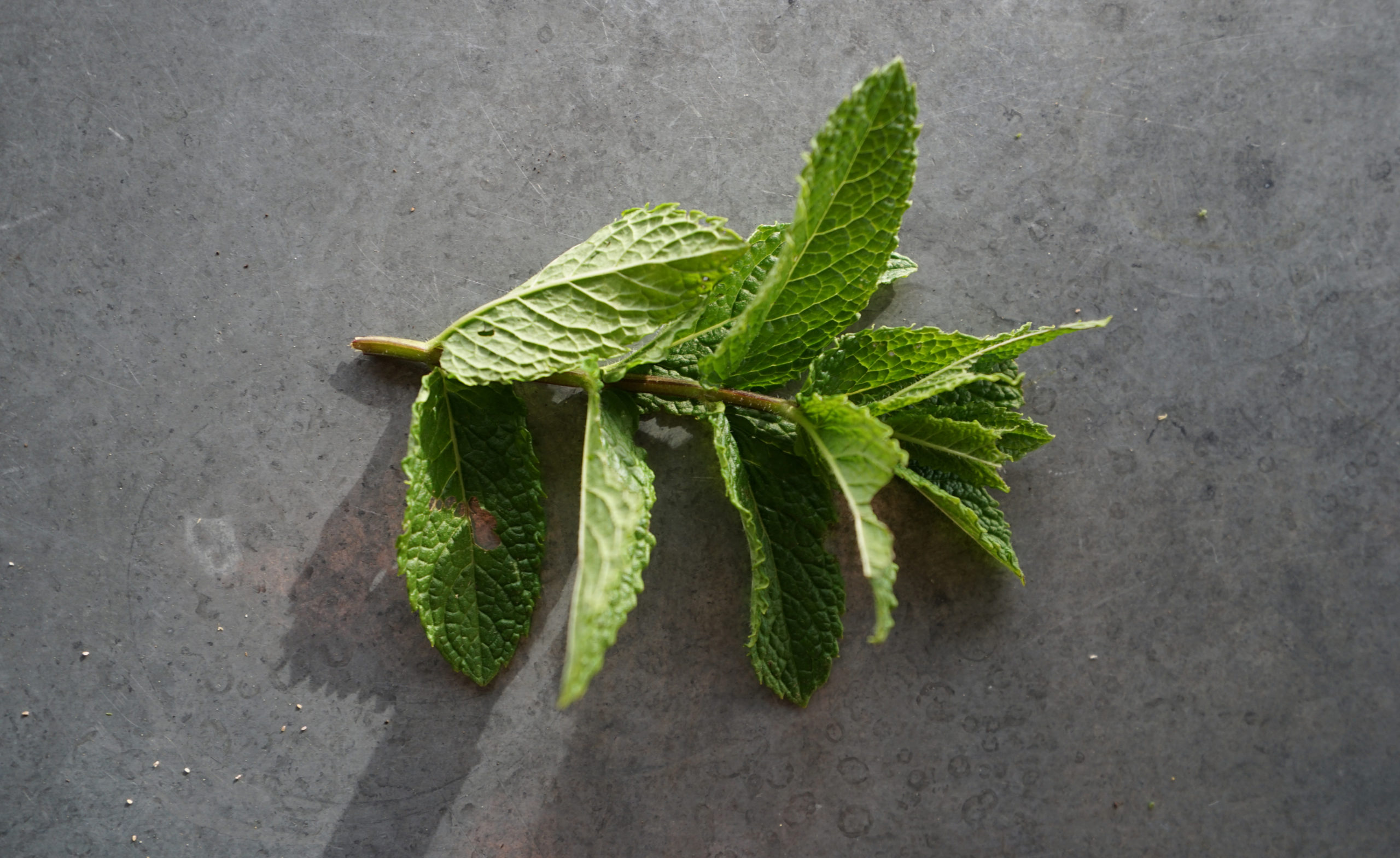 mint