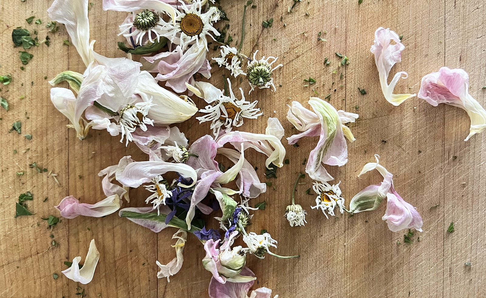flowers